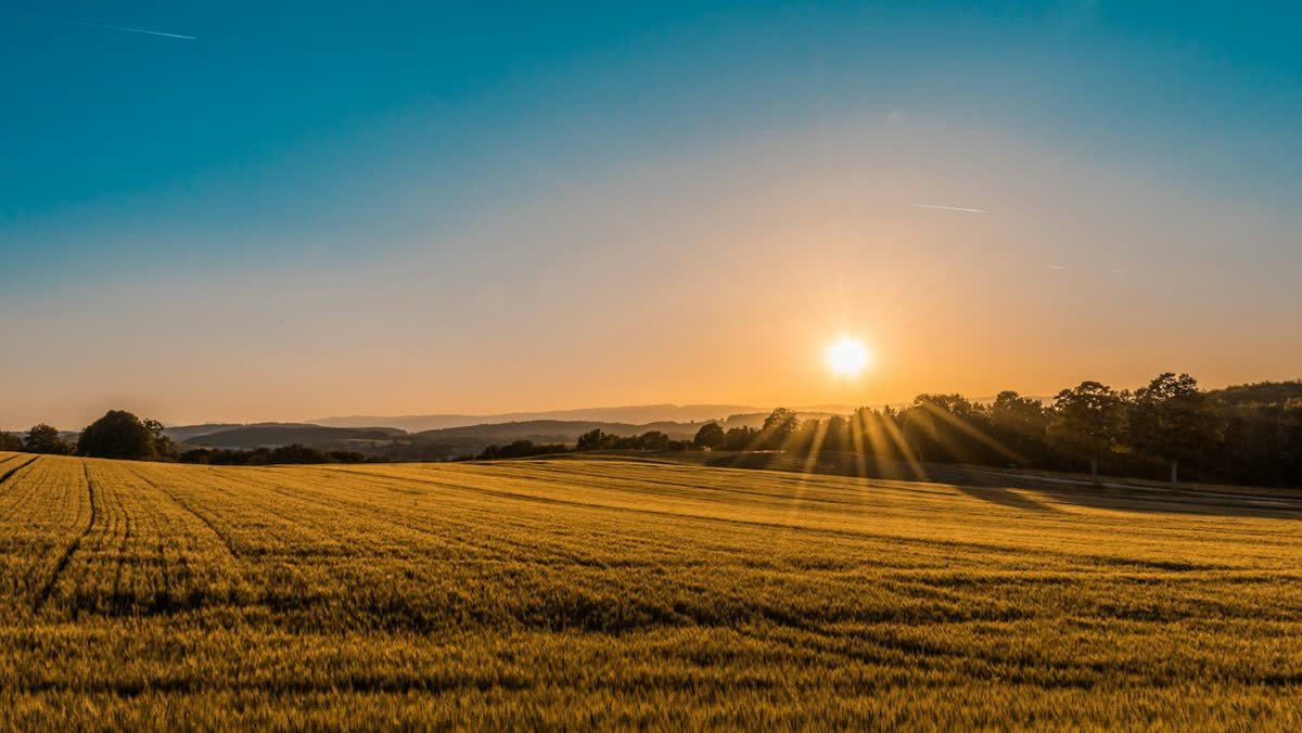 Open farm land at sunset